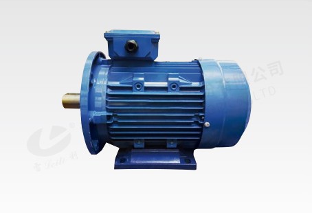 315KW 同步磁阻电机
